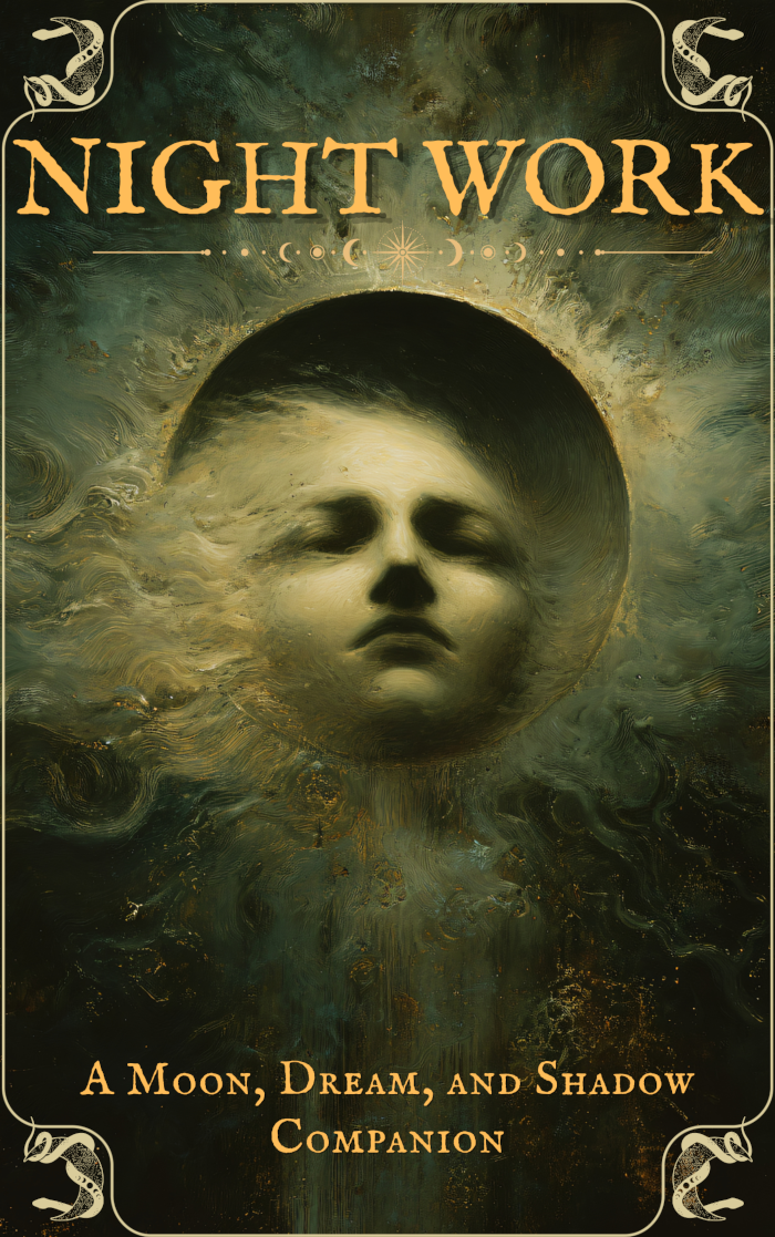 Night Work: A Moon, Dream, and Shadow Companion book cover